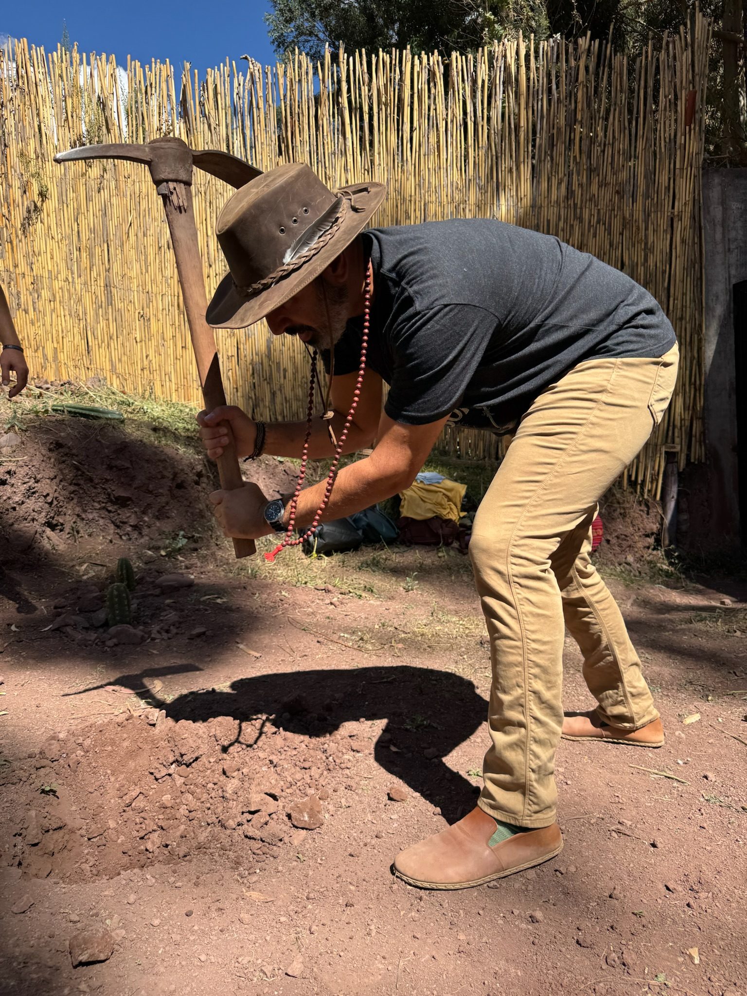 Someone in a wide brimmed hat swinging a pickaxe into hard ground beside a reed fence, a Huachuma cutting already planted at their feet