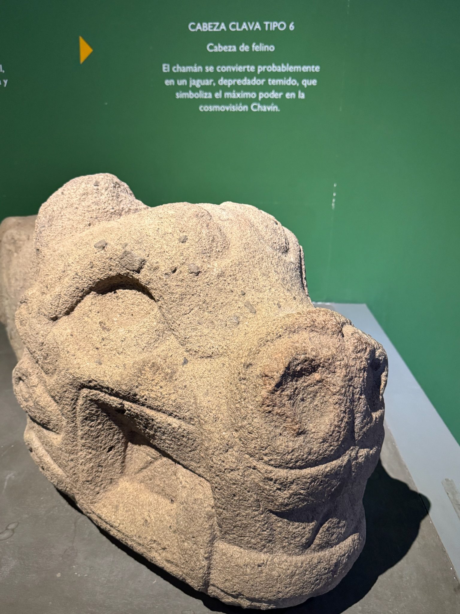 A carved stone head seen in profile in a museum, its features part human and part feline