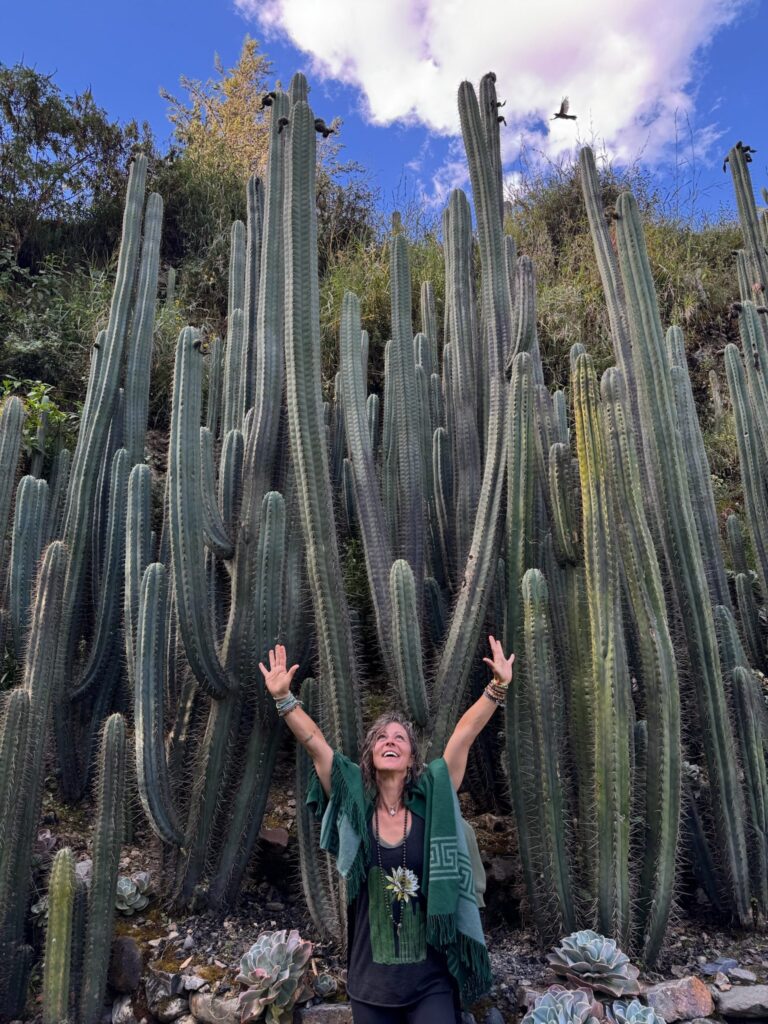 Someone standing among tall huachuma columns with both arms raised