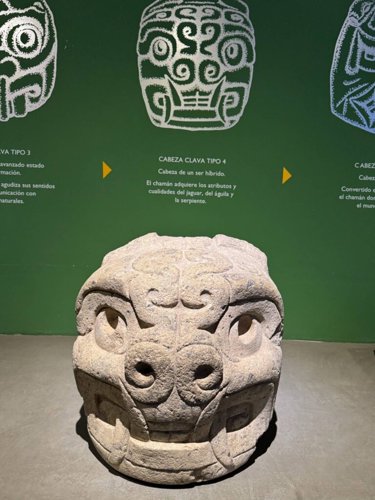 A carved stone head from Chavin displayed on a museum wall beside panels describing it