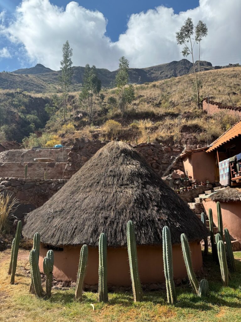 A round thatched temple with huachuma cacti growing in front of it